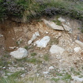 Campagne de fouilles archéologiques||<img src=_data/i/upload/2012/08/17/20120817114528-8ff564d9-th.jpg>
