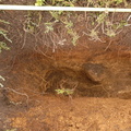 Campagne de fouilles archéologiques||<img src=_data/i/upload/2012/08/17/20120817114613-1bb59ff5-th.jpg>