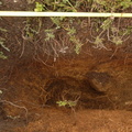 Campagne de fouilles archéologiques||<img src=_data/i/upload/2012/08/17/20120817114614-e3421e6b-th.jpg>