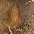 Campagne de fouilles archéologiques||<img src=_data/i/upload/2012/08/17/20120817114619-b238fa08-th.jpg>