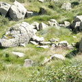 Campagne de fouilles archéologiques||<img src=_data/i/upload/2012/08/17/20120817114634-0529b389-th.jpg>