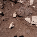 Campagne de fouilles archéologiques||<img src=_data/i/upload/2012/08/20/20120820130053-54695180-th.jpg>