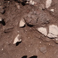 Campagne de fouilles archéologiques||<img src=_data/i/upload/2012/08/20/20120820130054-f6755c0f-th.jpg>
