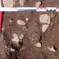 Campagne de fouilles archéologiques||<img src=_data/i/upload/2012/08/20/20120820130055-23422022-th.jpg>