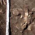 Campagne de fouilles archéologiques||<img src=_data/i/upload/2012/08/20/20120820130117-b3680451-th.jpg>