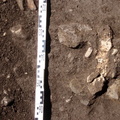 Campagne de fouilles archéologiques||<img src=_data/i/upload/2012/08/20/20120820130119-bffc43fd-th.jpg>