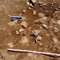 Campagne de fouilles archéologiques||<img src=_data/i/upload/2012/08/20/20120820130127-df0d4f21-th.jpg>