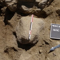 Campagne de fouilles archéologiques||<img src=_data/i/upload/2012/08/20/20120820130147-5362d20d-th.jpg>