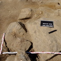 Campagne de fouilles archéologiques||<img src=_data/i/upload/2012/08/20/20120820130157-9b6008fc-th.jpg>