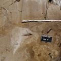 Campagne de fouilles archéologiques||<img src=_data/i/upload/2012/08/20/20120820130211-cfcb7f0b-th.jpg>