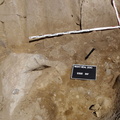 Campagne de fouilles archéologiques||<img src=_data/i/upload/2012/08/20/20120820130212-85707e7c-th.jpg>