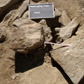 Campagne de fouilles archéologiques||<img src=_data/i/upload/2012/08/20/20120820130215-880e2cd9-th.jpg>