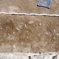 Campagne de fouilles archéologiques||<img src=_data/i/upload/2012/08/20/20120820130218-0a0c221b-th.jpg>