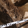 Campagne de fouilles archéologiques||<img src=_data/i/upload/2012/08/20/20120820130234-4eb29614-th.jpg>