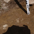 Campagne de fouilles archéologiques||<img src=_data/i/upload/2012/08/20/20120820130235-03511e17-th.jpg>