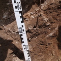 Campagne de fouilles archéologiques||<img src=_data/i/upload/2012/08/20/20120820130236-03f885b9-th.jpg>