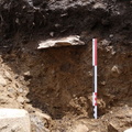 Campagne de fouilles archéologiques||<img src=_data/i/upload/2012/08/20/20120820130246-a6b3cf6d-th.jpg>
