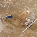 Campagne de fouilles archéologiques||<img src=_data/i/upload/2012/08/20/20120820130305-3dc8402e-th.jpg>