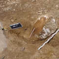 Campagne de fouilles archéologiques||<img src=_data/i/upload/2012/08/20/20120820130306-ff2c6281-th.jpg>