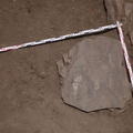 Campagne de fouilles archéologiques||<img src=_data/i/upload/2012/08/20/20120820130323-cdabc2a6-th.jpg>