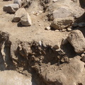 Campagne de fouilles archéologiques||<img src=_data/i/upload/2012/08/20/20120820130333-48d27a51-th.jpg>