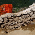 Campagne de fouilles archéologiques||<img src=_data/i/upload/2012/08/20/20120820130348-d826d148-th.jpg>