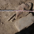 Campagne de fouilles archéologiques||<img src=_data/i/upload/2012/08/20/20120820130417-c9d10e5d-th.jpg>