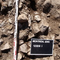 Campagne de fouilles archéologiques||<img src=_data/i/upload/2012/08/20/20120820130502-a847b987-th.jpg>