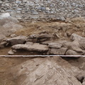 Campagne de fouilles archéologiques||<img src=_data/i/upload/2012/08/20/20120820130709-9d8af9f4-th.jpg>