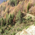 Les couloirs d'avalanche en Vicdessos||<img src=_data/i/upload/2012/08/29/20120829143128-48aa79be-th.jpg>