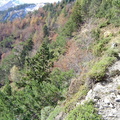 Les couloirs d'avalanche en Vicdessos||<img src=_data/i/upload/2012/08/29/20120829143134-c273ac62-th.jpg>