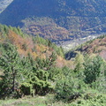 Les couloirs d'avalanche en Vicdessos||<img src=_data/i/upload/2012/08/29/20120829143135-b7be5528-th.jpg>