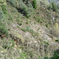 Les couloirs d'avalanche en Vicdessos||<img src=_data/i/upload/2012/08/29/20120829143145-5336edb5-th.jpg>