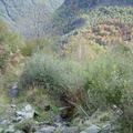 Les couloirs d'avalanche en Vicdessos||<img src=_data/i/upload/2012/08/29/20120829143148-31b46088-th.jpg>