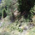 Les couloirs d'avalanche en Vicdessos||<img src=_data/i/upload/2012/08/29/20120829143212-8bf10108-th.jpg>