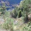 Les couloirs d'avalanche en Vicdessos||<img src=_data/i/upload/2012/08/29/20120829143213-a21f3dd4-th.jpg>