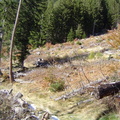Les couloirs d'avalanche en Vicdessos||<img src=_data/i/upload/2012/08/29/20120829143220-822e92f3-th.jpg>