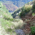 Les couloirs d'avalanche en Vicdessos||<img src=_data/i/upload/2012/08/29/20120829143223-ca737368-th.jpg>