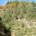 Les couloirs d'avalanche en Vicdessos||<img src=_data/i/upload/2012/08/29/20120829143225-a46a9543-th.jpg>