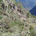 Les couloirs d'avalanche en Vicdessos||<img src=_data/i/upload/2012/08/29/20120829143227-605d47a9-th.jpg>