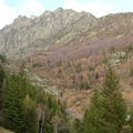 Les couloirs d'avalanche en Vicdessos||<img src=_data/i/upload/2012/08/29/20120829143311-9c257443-th.jpg>