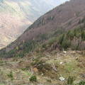 Les couloirs d'avalanche en Vicdessos||<img src=_data/i/upload/2012/08/29/20120829143333-42c84555-th.jpg>