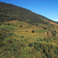 Evolution des paysages dans le Vicdessos||<img src=_data/i/upload/2012/09/13/20120913144546-a55c4d50-th.jpg>