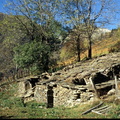Evolution des paysages dans le Vicdessos||<img src=_data/i/upload/2012/09/13/20120913144600-216c0810-th.jpg>