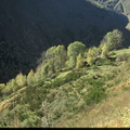Evolution des paysages dans le Vicdessos||<img src=_data/i/upload/2012/09/13/20120913144615-12b8e1de-th.jpg>