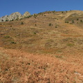 Evolution des paysages dans le Vicdessos||<img src=_data/i/upload/2012/09/13/20120913144725-0bb3f2f4-th.jpg>