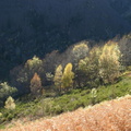 Evolution des paysages dans le Vicdessos||<img src=_data/i/upload/2012/09/13/20120913144735-86e3a74b-th.jpg>
