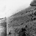 Evolution des paysages dans le Vicdessos||<img src=_data/i/upload/2012/09/13/20120913145713-eee17e37-th.jpg>