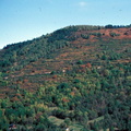 Evolution des paysages dans le Vicdessos||<img src=_data/i/upload/2012/09/13/20120913145911-28cfcb1b-th.jpg>