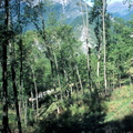 Evolution des paysages dans le Vicdessos||<img src=_data/i/upload/2012/09/13/20120913150242-a2a510cb-th.jpg>